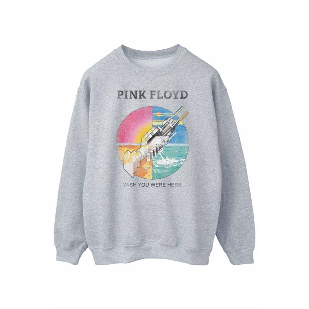 Pink Floyd Mens Wish You Were Here Sweatshirt / Sports Grey